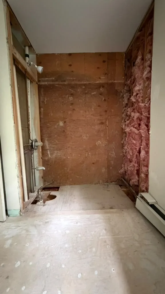 Shower wall opened down to the studs